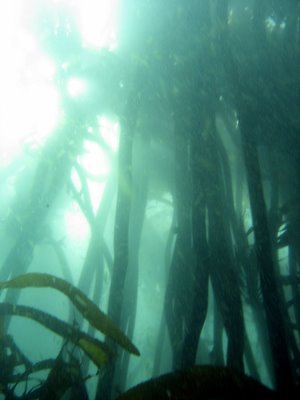 [IMG_6407.JPG]