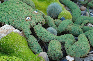 octopus topiary