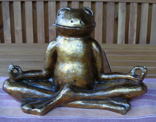 Yoga Frog