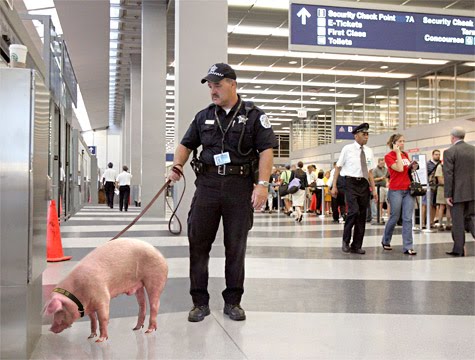 [Airport-Security-R.jpg]