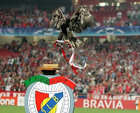 http://4.bp.blogspot.com/_pl6_TvdHuMI/R1CsprNvCxI/AAAAAAAAABk/jL6YLvaD9QE/s1600-R/aguiaVitoria.jpg
