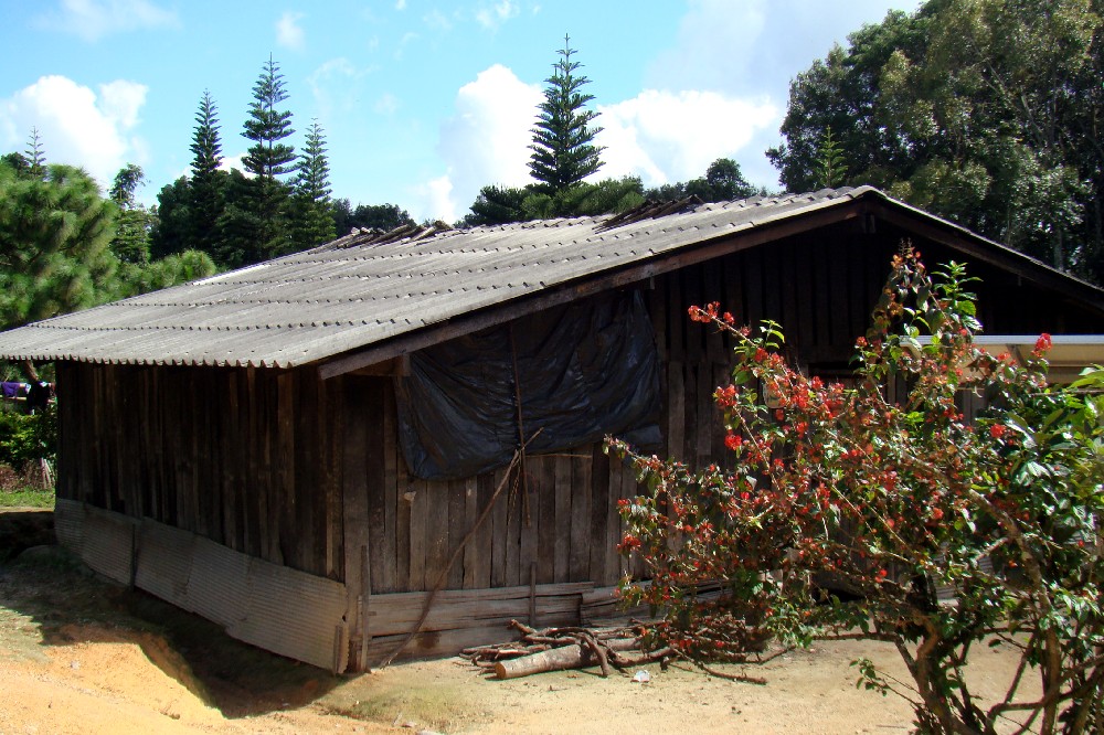 [DSC07490.JPG]