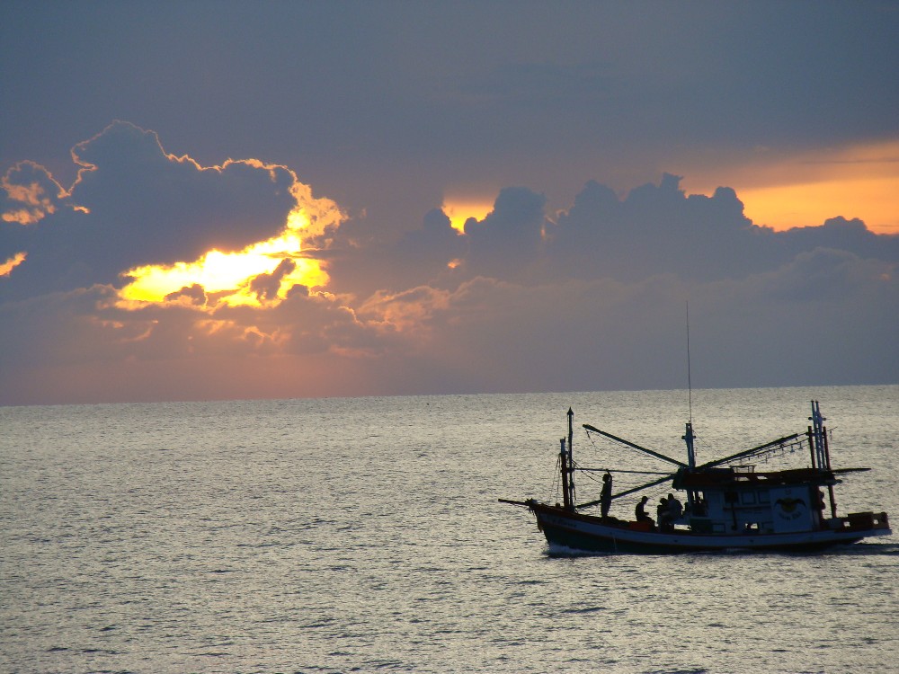 [DSC07809.JPG]