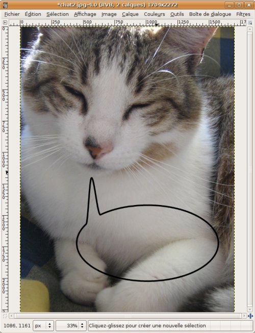 [bulle_chat1.jpg]