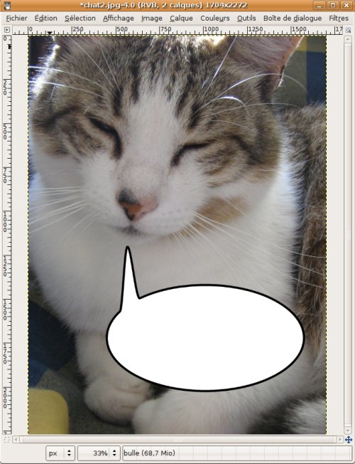 [chat_bulle2.jpg]