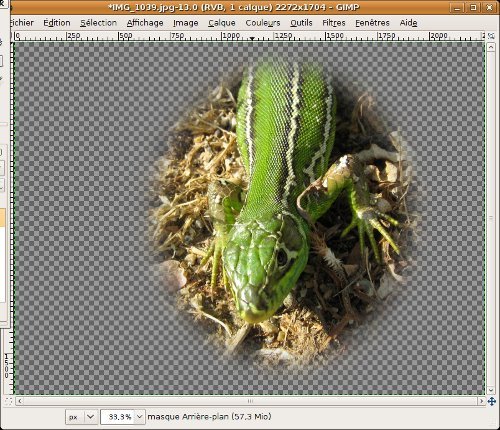 [leard_rond_flou.jpg]