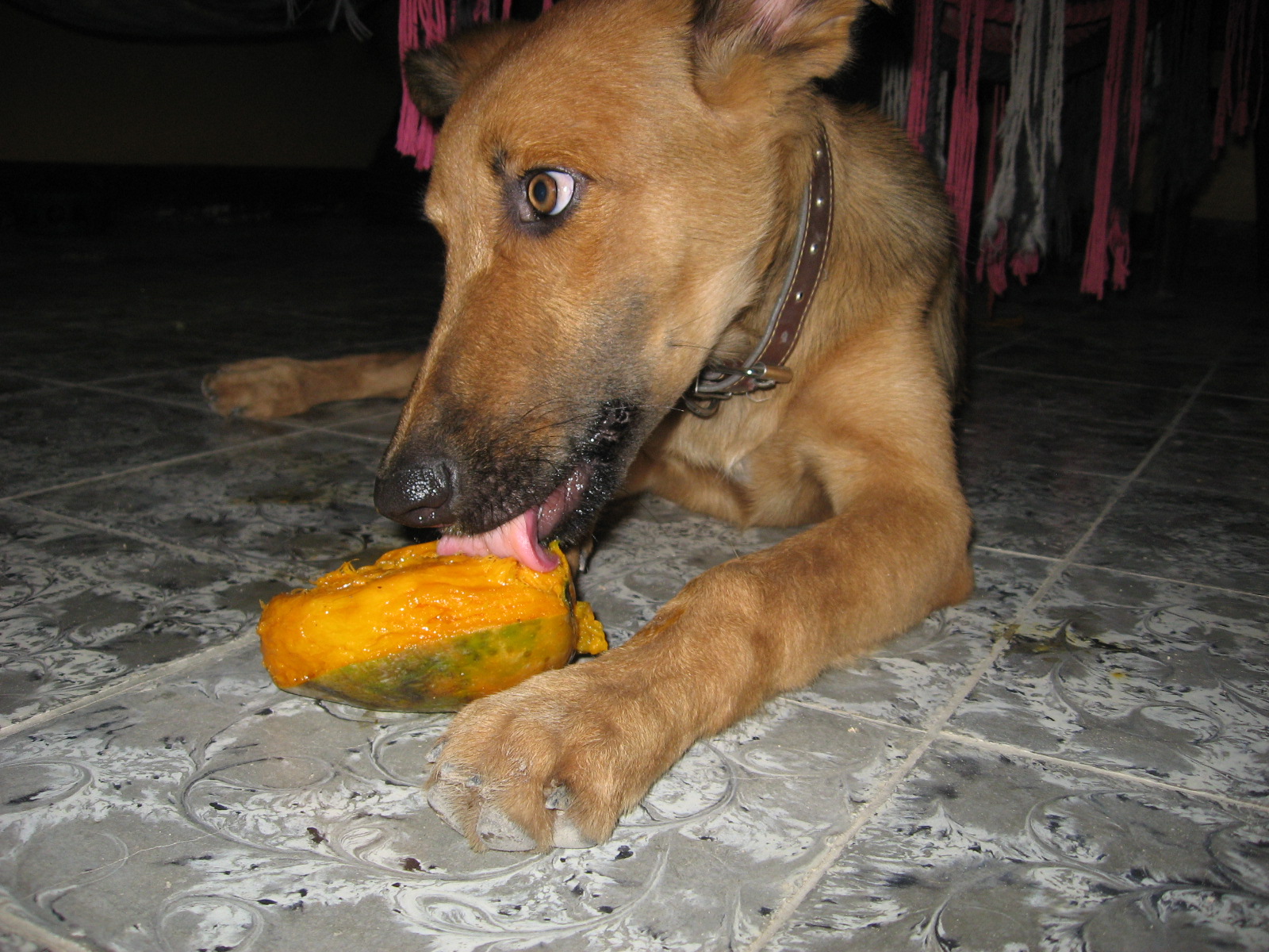 [IMG_4503.JPG]