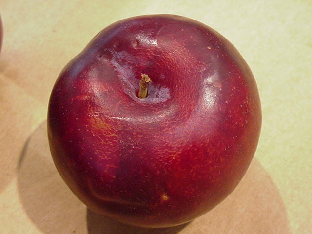 Plum Means