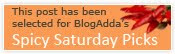 http://blog.blogadda.com/2009/12/05/indian-bloggers-with-best-blog-posts-2