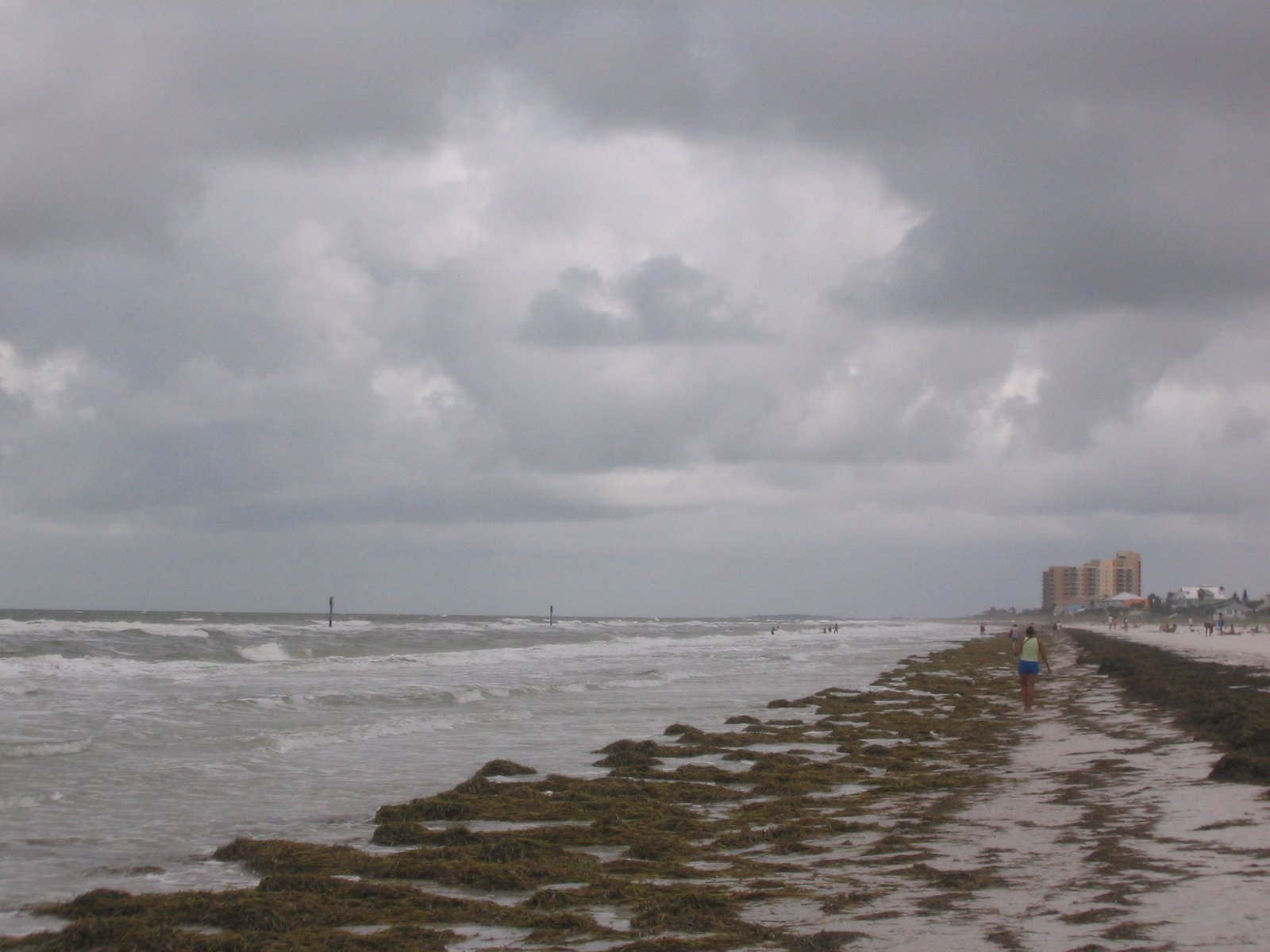 [IMG_0951.jpg]