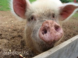 [May+29+2009+North+carolina+062.JPG]