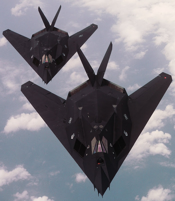 F-117 Stealth Fighter