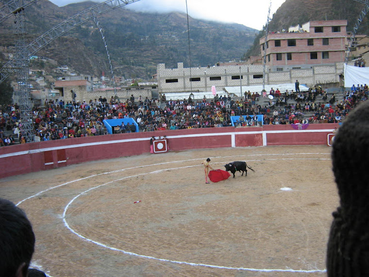 Juan Carlos Cubas (Perú) 2007