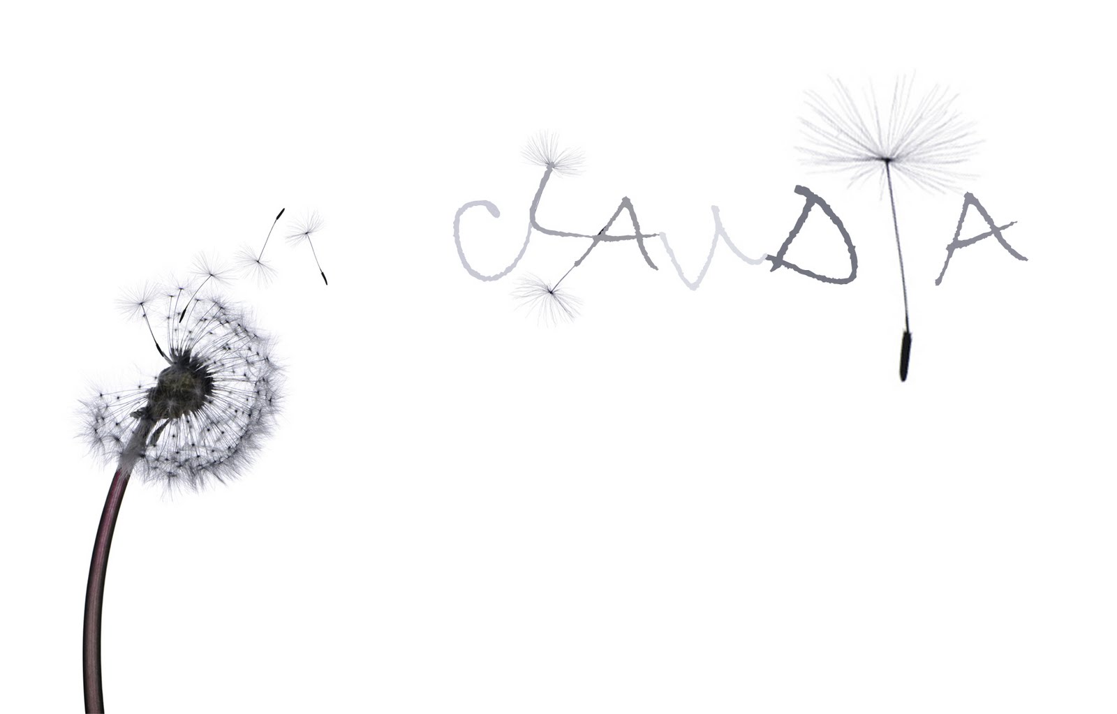 Fotografías Claudia