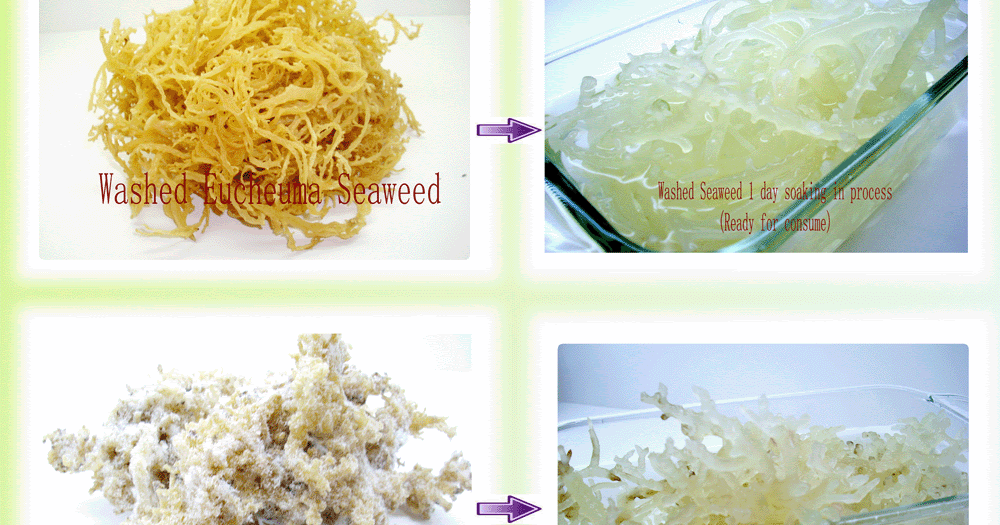 Simply Senz Eucheuma Seaweed My Antioxidant Booster