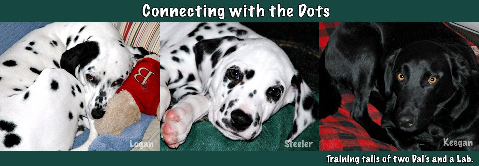 Connecting with the Dots