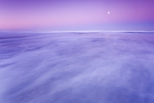 [_MG_7655-1.jpg]