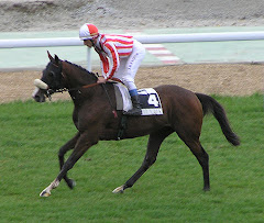 Debut De La Fuente Stud 22-10-2006 HLZ