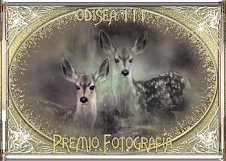 Premio ODISEA111 a la Fotografía