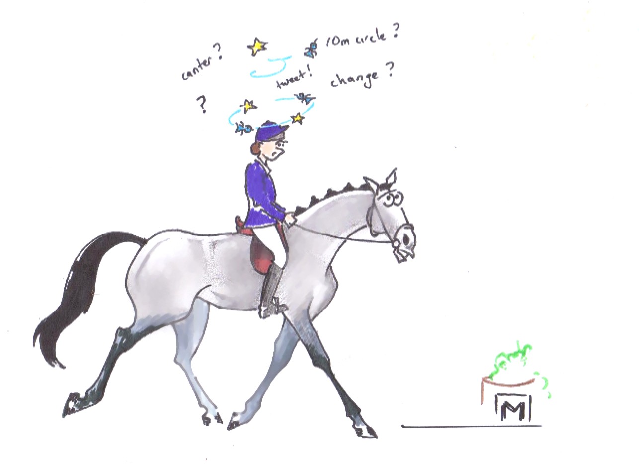 Dressage Side Pass