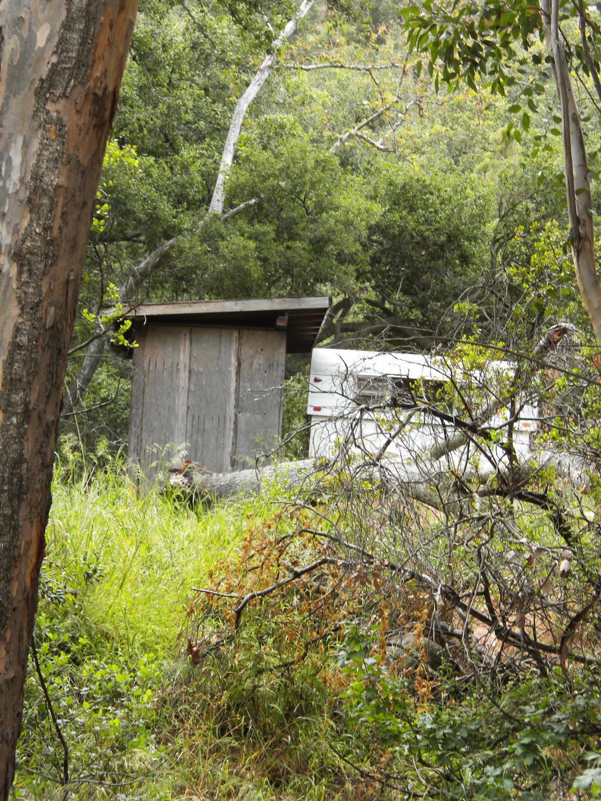 My little cottage in the making THE LEGENDS OF BLACK STAR CANYON
