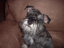 Wally