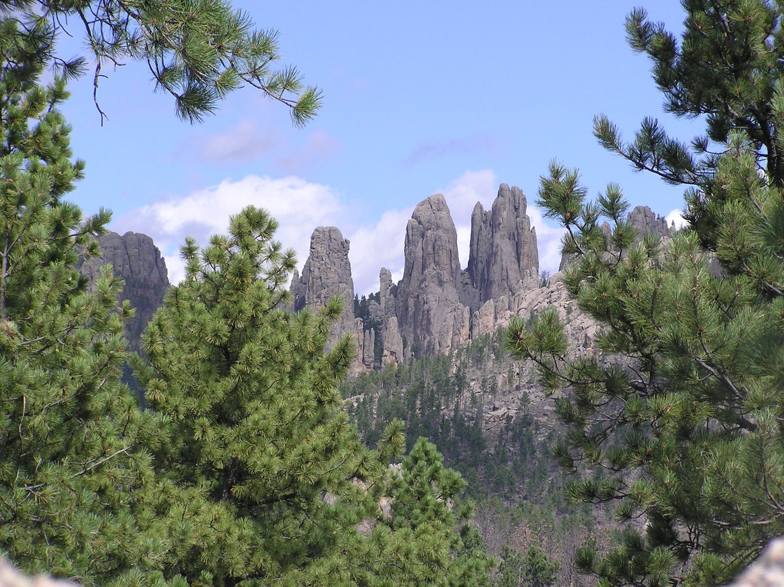 Going West and Beyond Mt RushmoreCuster State Park