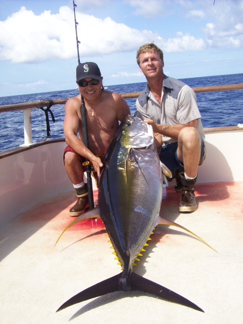 Panama Yellowfin