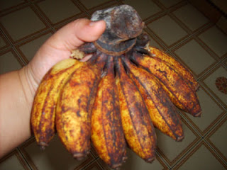 Pisang Keling aka Pisang Rastali Pisang Keling aka Pisang Rastali