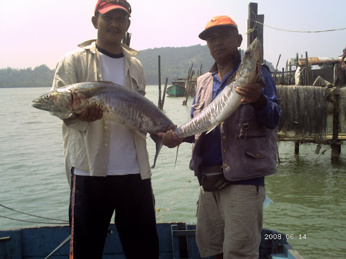 Hasil Trip nyandat & mancing Kemaman 13 - 14 Jun 2009