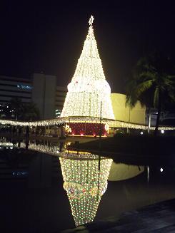 [Photo0169-1.jpg]