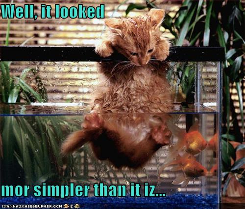 [funny-pictures-cat-is-having-trouble-catching-fish.jpg]