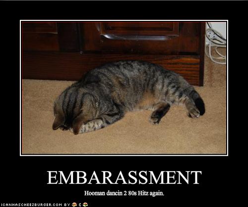 [funny-pictures-your-dancing-makes-the-cat-embarassed.jpg]