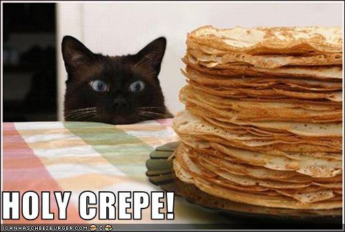 [funny-pictures-cat-looks-at-a-huge-stack-of-crepes.jpg]