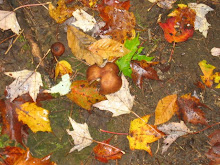 Autumn Leaves