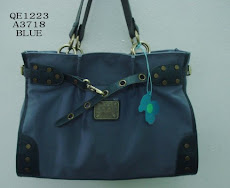 Foto 22. Cartera Blue