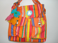 Foto 15. Cartera Orange