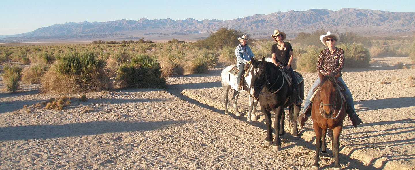 Western Mysteries Blog November 2010