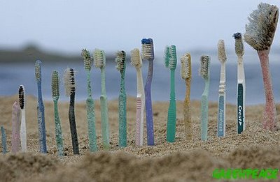 [toothbrushes-are-lined-up-on-k.jpg]
