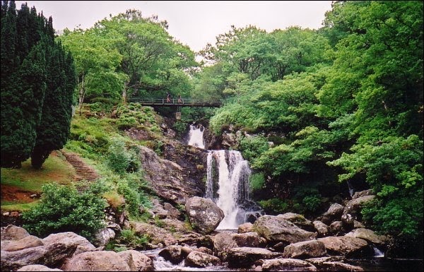 Definition essay of beauty image