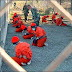 Guantánamo Tours