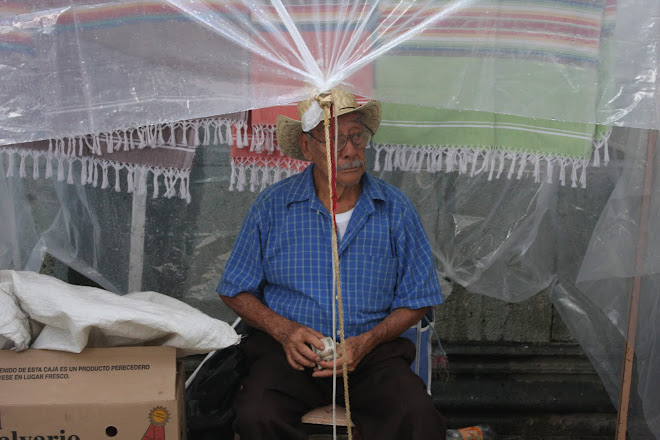 Rug Vendor