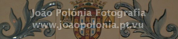 FotoReportagem João Polónia