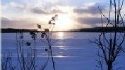 And Then Some: the tumbledown poetry of Miriam Dunn