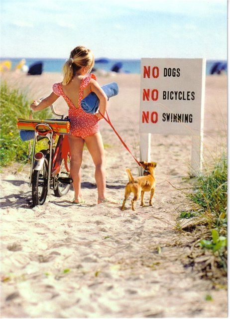 [wtf-beach.jpg]