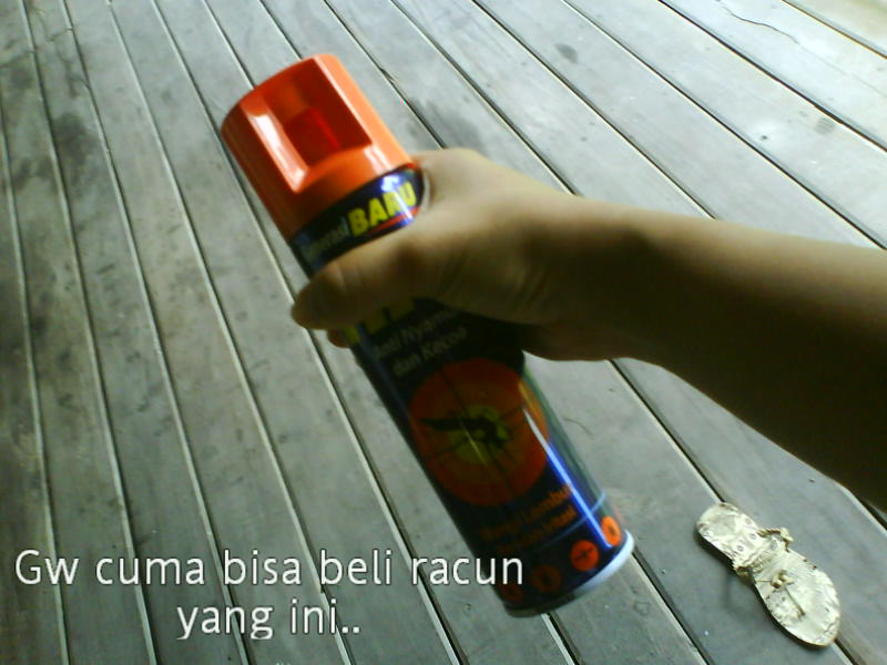 [image-upload-174-731202.jpg]