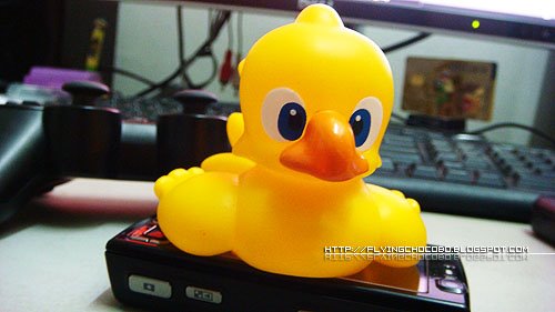 [DSC01477.jpg]