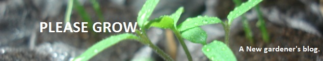 Please.. Grow? - A new Gardener's blog