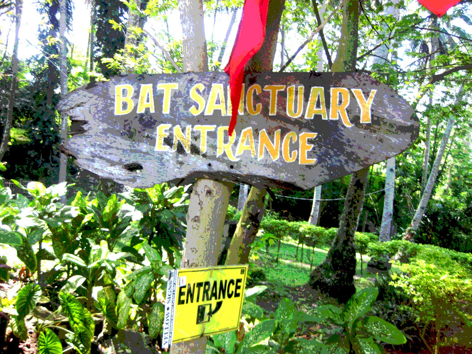 Adventurous Feet Part7 The Davao Experience Monfort Bat Cave in