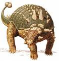 Euoplocephalus!!!